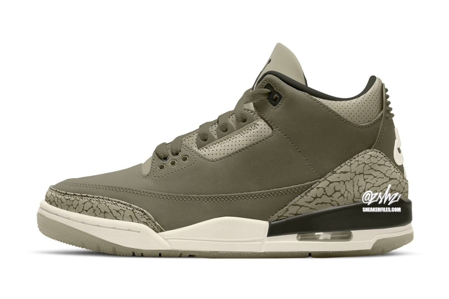 Air Jordan 3 "Family Affair"